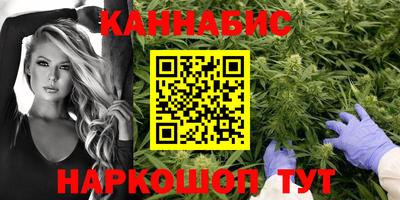 сатива Коммунар