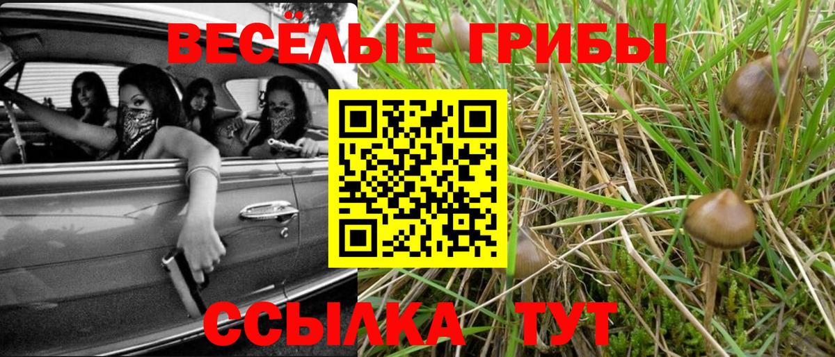 Псилоцибиновые грибы ЛСД  Галлюциногенные грибы мухоморы  Кимовск  Вход с VPN 