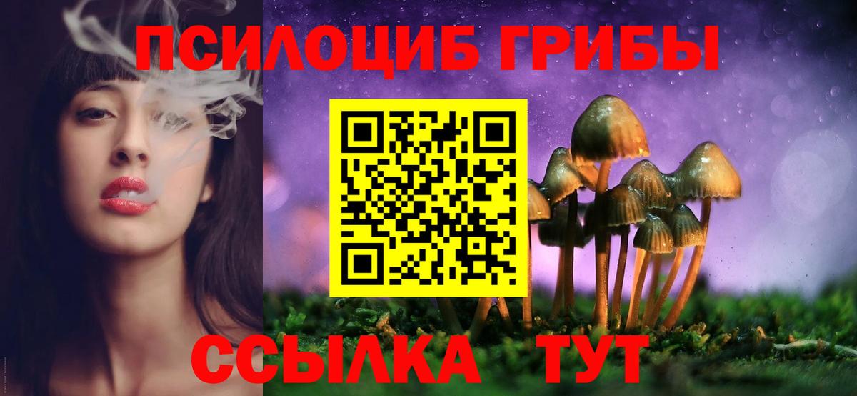 Псилоцибиновые грибы мухоморы Кимовск